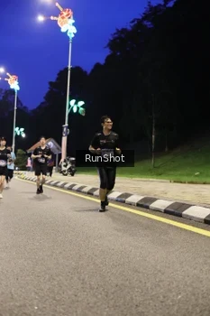 Runner Photo 4291436