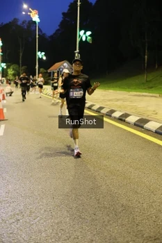 Runner Photo 4291593