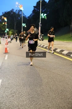 Runner Photo 4292751