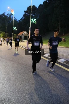 Runner Photo 4292812