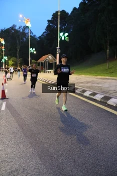 Runner Photo 4292822