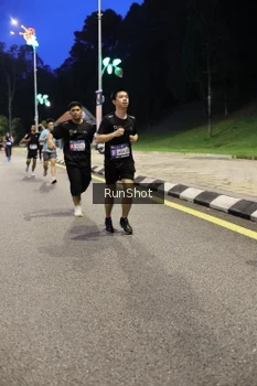 Runner Photo 4292835