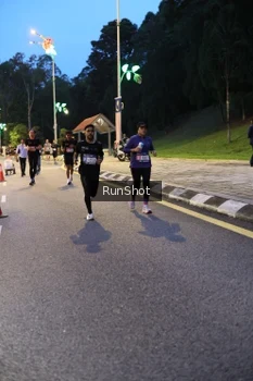 Runner Photo 4292850