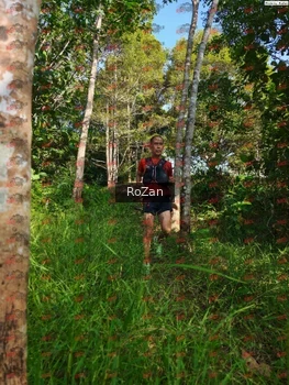 Runner Photo 4293