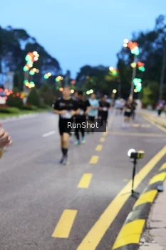 Runner Photo 4293824