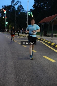 Runner Photo 4293955
