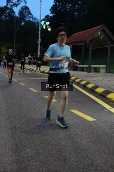 Runner Photo 4293961