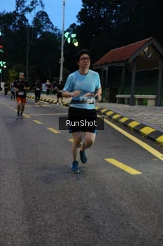 Runner Photo 4293964