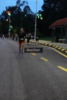 Runner Photo 4293967