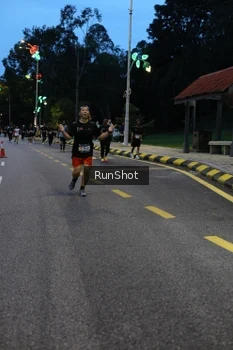 Runner Photo 4293975