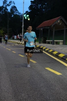 Runner Photo 4293979