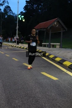 Runner Photo 4293980