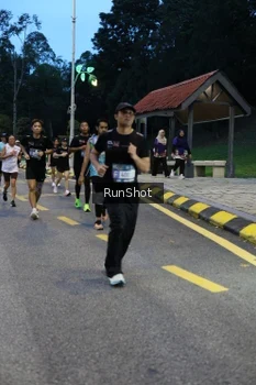 Runner Photo 4293991