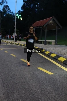 Runner Photo 4293993