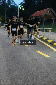 Runner Photo 4294091
