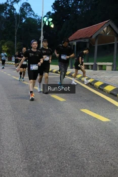Runner Photo 4294094