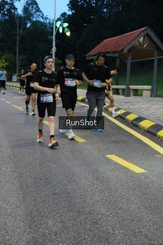 Runner Photo 4294095