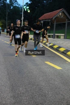 Runner Photo 4294096