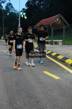 Runner Photo 4294101
