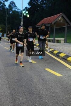 Runner Photo 4294102