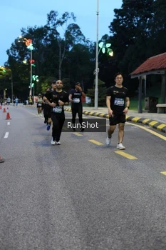 Runner Photo 4294162