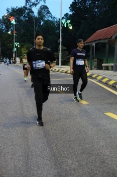 Runner Photo 4294191
