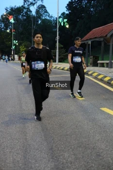 Runner Photo 4294193