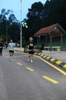 Runner Photo 4294229