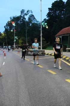 Runner Photo 4294239