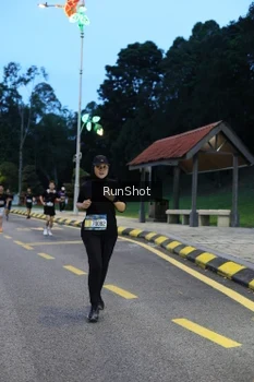 Runner Photo 4294242