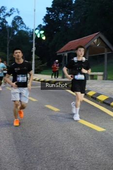 Runner Photo 4294243