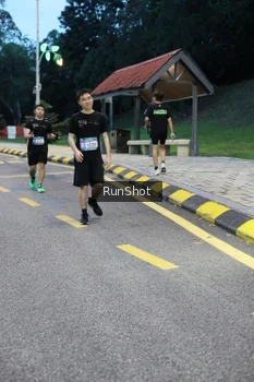 Runner Photo 4294371