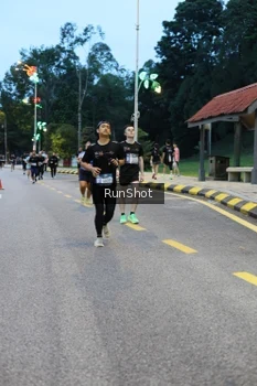 Runner Photo 4294440