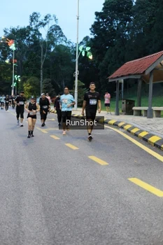 Runner Photo 4294473