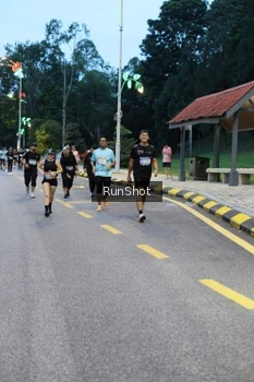 Runner Photo 4294478