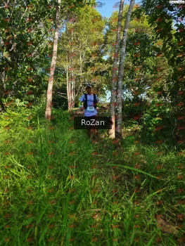 Runner Photo 4295