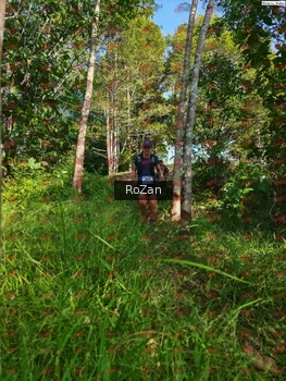 Runner Photo 4296