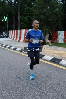 Runner Photo 4296282