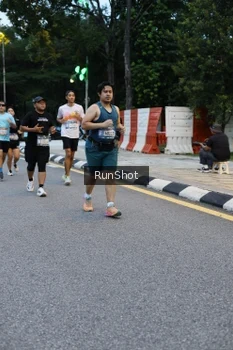 Runner Photo 4296345