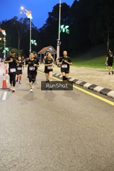 Runner Photo 4296347