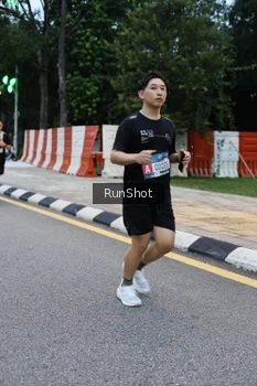 Runner Photo 4296740