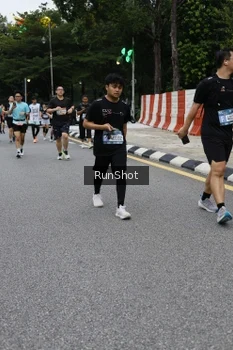 Runner Photo 4298578
