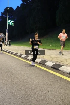 Runner Photo 4299990