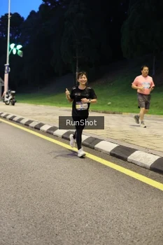 Runner Photo 4300005