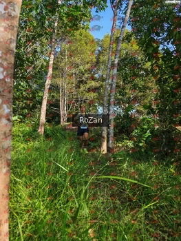 Runner Photo 4303