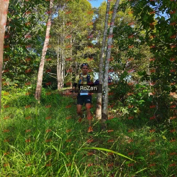 Runner Photo 4305