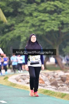 Runner Photo 4311113