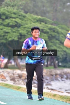 Runner Photo 4311120