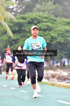 Runner Photo 4311131
