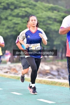 Runner Photo 4311142
